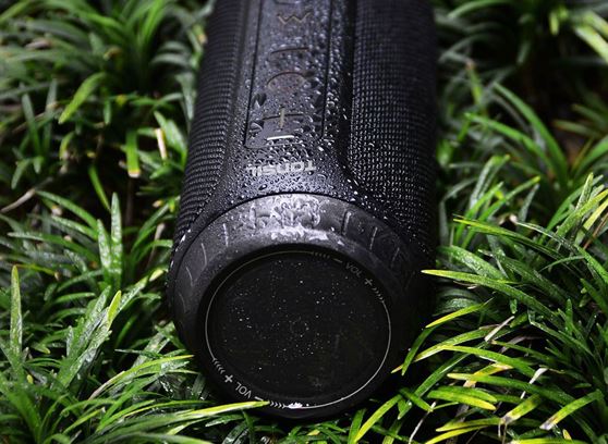 Tonsil Flip 6 - cecha 1